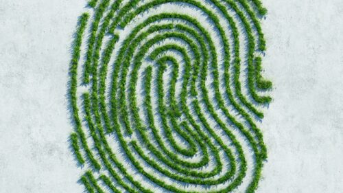 Blogserie SDG: Johnson & Johnson: CO2-Reduzierung beim Arzneimitteltransport