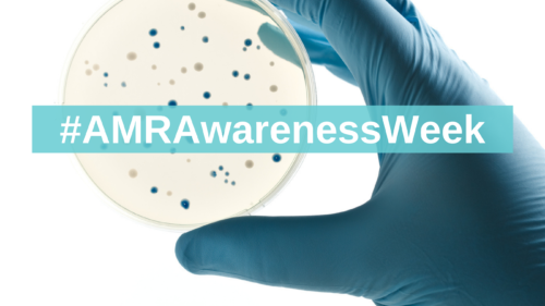 AMR awareness week 2025, partie 1: L’avancée insidieuse de l’antibiorésistance